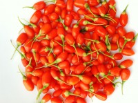 /album/resim-galerisi/goji-berry-foto-jpg/